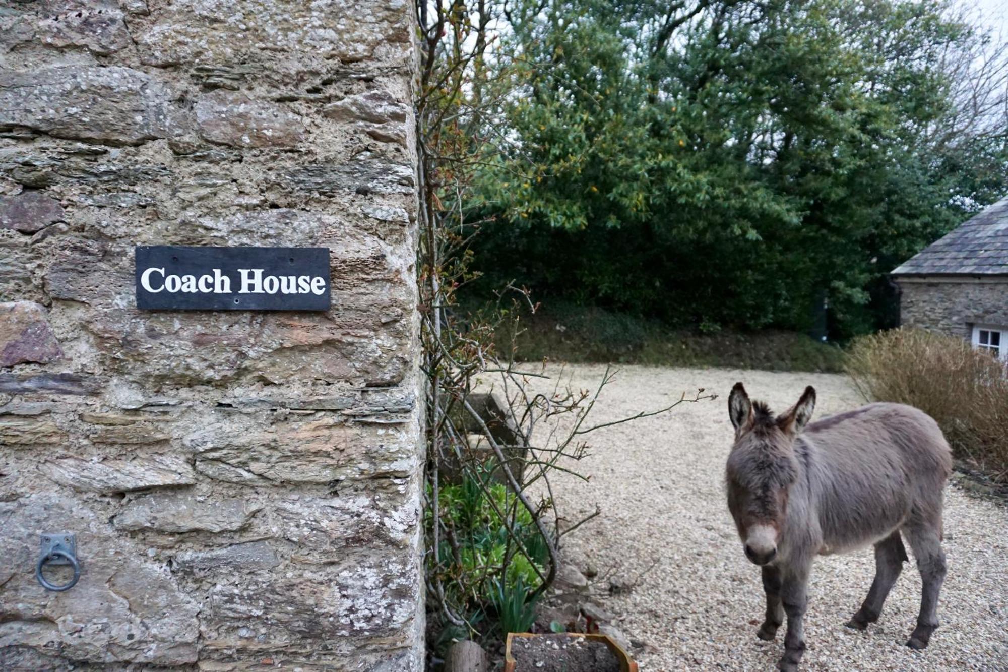 Beachborough Country House Barnstaple Extérieur photo