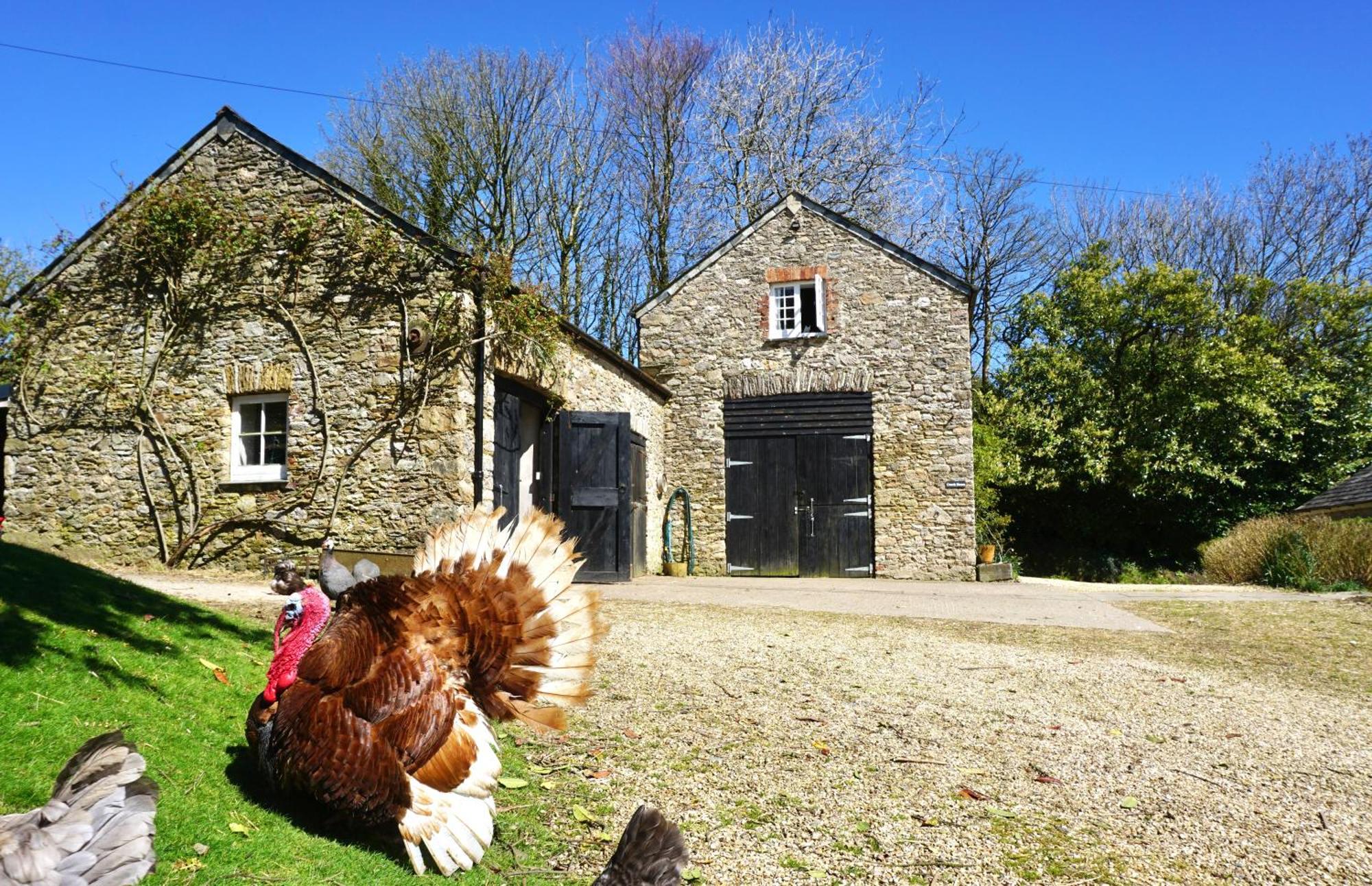 Beachborough Country House Barnstaple Extérieur photo